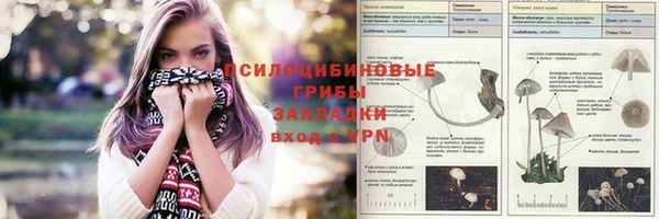 амф Балахна
