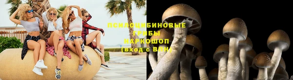 амф Балахна