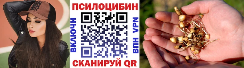 Галлюциногенные грибы Psilocybe  хочу наркоту  Лениногорск 